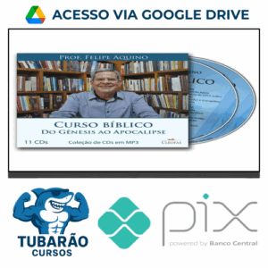 Imagem do rateio do curso Curso Bíblico: Do Gênesis ao Apocalipse - Felipe Aquino