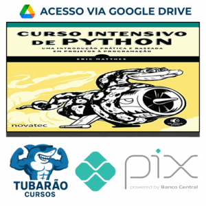 Imagem do rateio do curso Curso Intensivo de Python Uma - Eric Matthes
