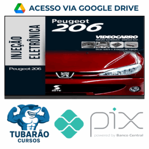 Imagem do rateio do curso Injeção Eletrônica: Peugeot 206 - VideoCarro