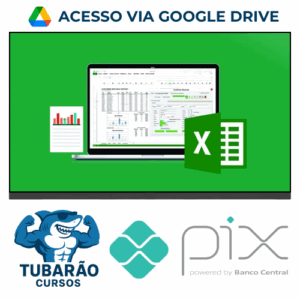 Imagem do rateio do curso Microsoft Excel 2020, VBA & Macro, Data Analysis & Reporting - Chandramouli Jayendran [INGLÊS]