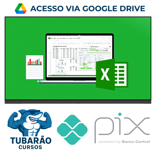 Imagem do rateio do curso Microsoft Excel 2020, VBA & Macro, Data Analysis & Reporting - Chandramouli Jayendran [INGLÊS]