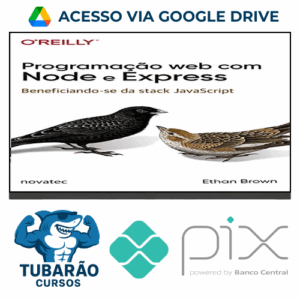 Imagem do rateio do curso Programação Web com Node e Express: Beneficiando-Se da Stack Javascript - Ethan Brown