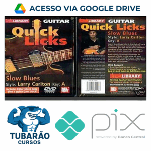 Imagem do rateio do curso Quick Licks - Lick Library Guitar [INGLÊS]