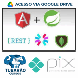 Imagem do rateio do curso Spring Boot, Hibernate, Rest, Ionic, Jwt, S3, MySQL, Mongodb - Nelio Alves