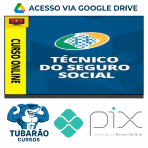 Imagem do rateio do curso Técnico do Seguro Social do INSS - Direção Concursos
