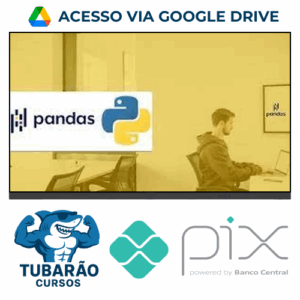 Imagem do rateio do curso The Ultimate Pandas Bootcamp Advanced Python Data Analysis - Andy Bek [Inglês]