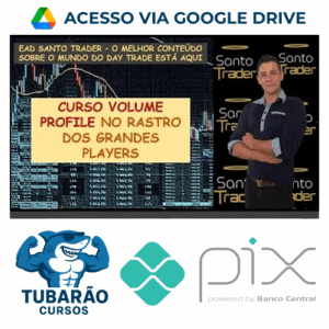 Imagem do rateio do curso Volume Profile No Rastro dos Grandes Players - Oliver Santo Trader